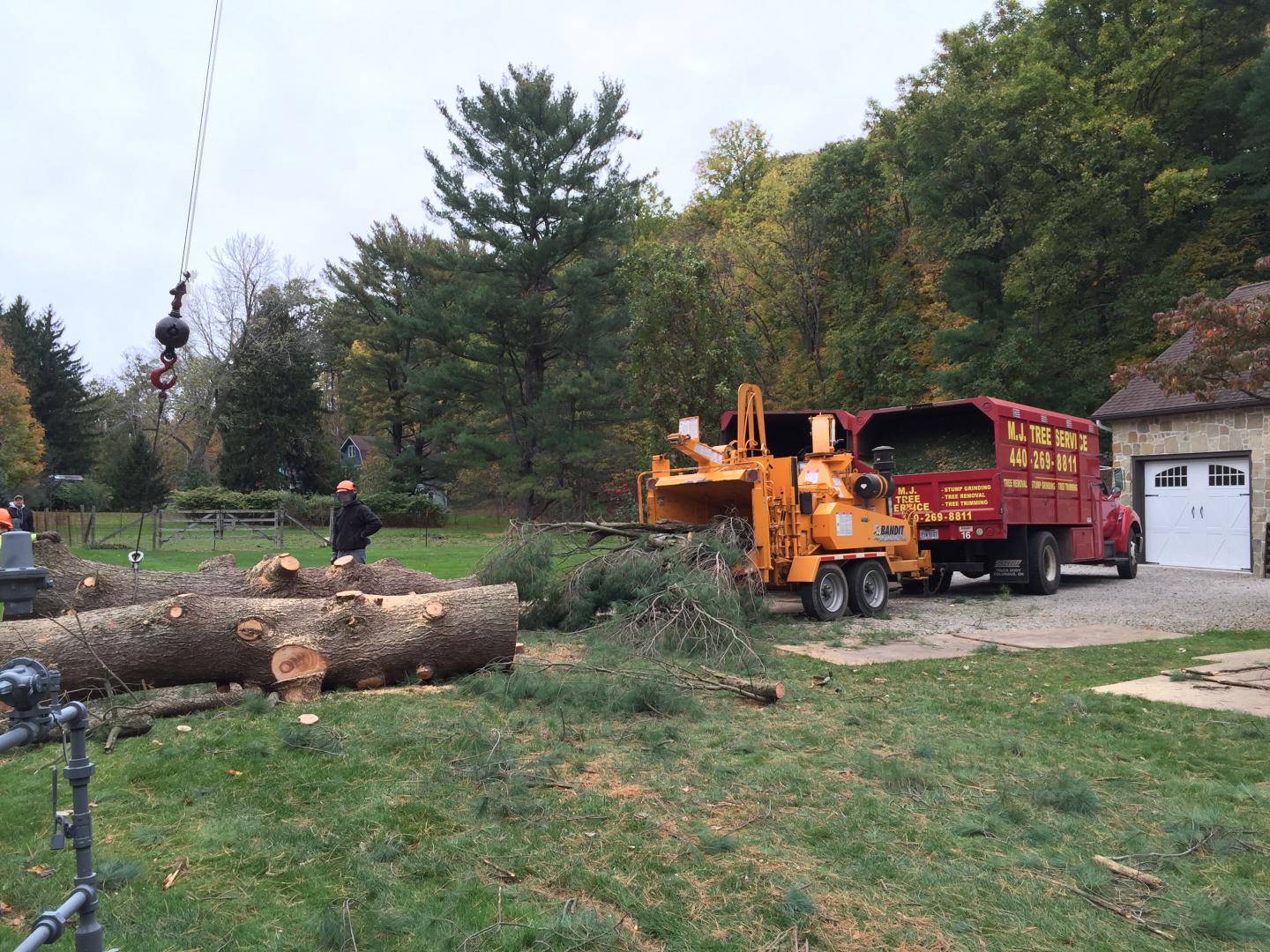 Tree removal company vehicle 5